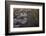 Aerials of Boston Logan International Airport-Joseph Sohm-Framed Photographic Print