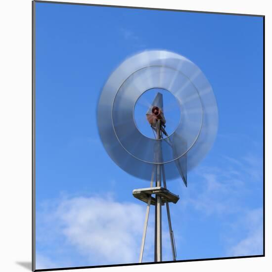 Aermotor windmill, Seadrift, Texas-Maresa Pryor-Mounted Photographic Print