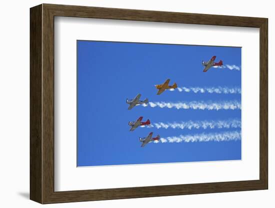 Aerobatic Display by North American Harvards, or T-6 Texans, or SNJ, Airshow-David Wall-Framed Photographic Print