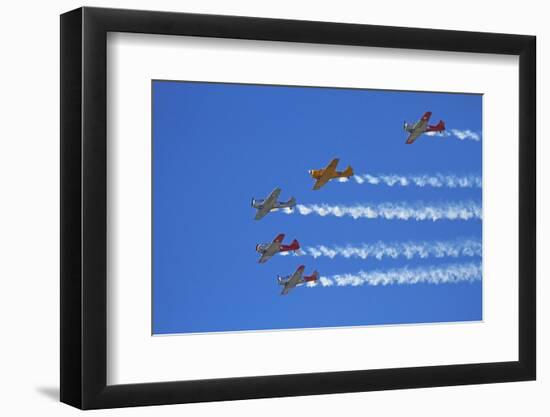 Aerobatic Display by North American Harvards, or T-6 Texans, or SNJ, Airshow-David Wall-Framed Photographic Print