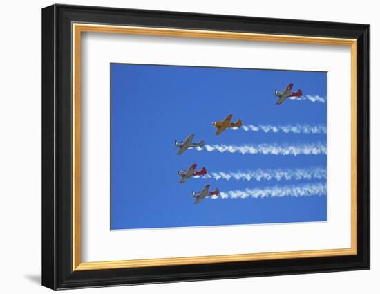 Aerobatic Display by North American Harvards, or T-6 Texans, or SNJ, Airshow-David Wall-Framed Photographic Print