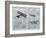 Aeroplane in Modern Warfare-G.h. Davis-Framed Art Print