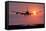 Aeroplane Landing At Sunset, Canada-David Nunuk-Framed Premier Image Canvas
