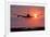 Aeroplane Landing At Sunset, Canada-David Nunuk-Framed Photographic Print