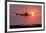 Aeroplane Landing At Sunset, Canada-David Nunuk-Framed Photographic Print