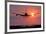 Aeroplane Landing At Sunset, Canada-David Nunuk-Framed Photographic Print