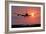 Aeroplane Landing At Sunset, Canada-David Nunuk-Framed Photographic Print
