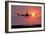 Aeroplane Landing At Sunset, Canada-David Nunuk-Framed Photographic Print