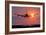 Aeroplane Landing At Sunset, Canada-David Nunuk-Framed Photographic Print