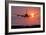 Aeroplane Landing At Sunset, Canada-David Nunuk-Framed Photographic Print