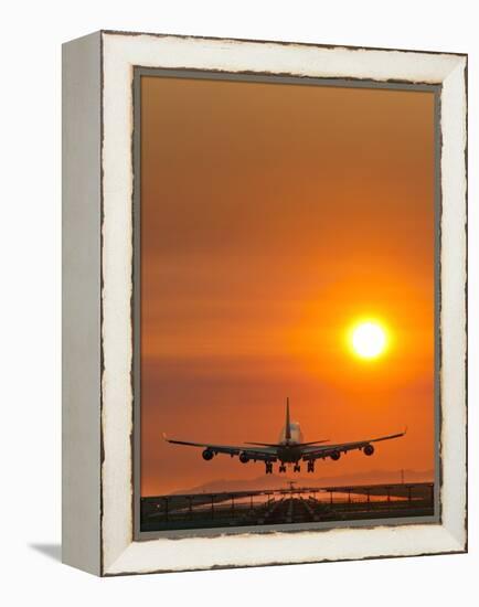 Aeroplane Landing At Sunset-David Nunuk-Framed Premier Image Canvas