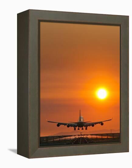 Aeroplane Landing At Sunset-David Nunuk-Framed Premier Image Canvas