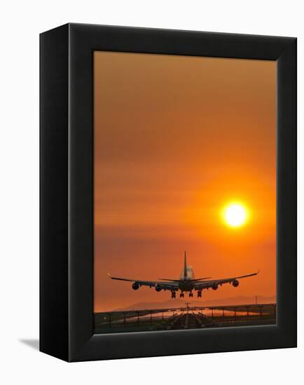 Aeroplane Landing At Sunset-David Nunuk-Framed Premier Image Canvas