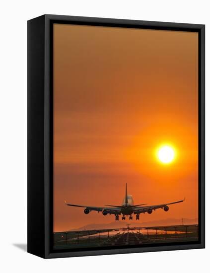 Aeroplane Landing At Sunset-David Nunuk-Framed Premier Image Canvas