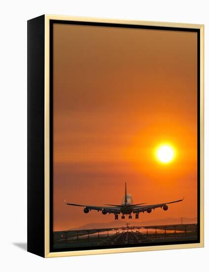 Aeroplane Landing At Sunset-David Nunuk-Framed Premier Image Canvas