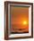 Aeroplane Landing At Sunset-David Nunuk-Framed Photographic Print