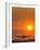 Aeroplane Landing At Sunset-David Nunuk-Framed Photographic Print