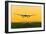 Aeroplane Landing, Canada-David Nunuk-Framed Photographic Print