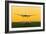 Aeroplane Landing, Canada-David Nunuk-Framed Photographic Print