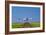 Aeroplane Landing, Canada-David Nunuk-Framed Photographic Print