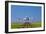 Aeroplane Landing, Canada-David Nunuk-Framed Photographic Print