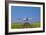 Aeroplane Landing, Canada-David Nunuk-Framed Photographic Print