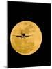 Aeroplane Silhouetted Against a Full Moon-David Nunuk-Mounted Photographic Print