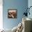 Aeroplane-null-Framed Premier Image Canvas displayed on a wall