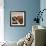 Aeroplane-null-Framed Photographic Print displayed on a wall