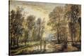 Stretched Canvas Print