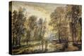 Stretched Canvas Print