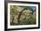 Aesculapian Snake (Zamenis Longissimus or Elaphe Longissima), Colubridae-null-Framed Giclee Print