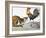 Aesop: Cat, Cock, and Mouse-Milo Winter-Framed Giclee Print