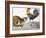 Aesop: Cat, Cock, and Mouse-Milo Winter-Framed Giclee Print