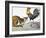 Aesop: Cat, Cock, and Mouse-Milo Winter-Framed Giclee Print