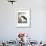 Aesop: Crow and Pitcher-Milo Winter-Framed Giclee Print displayed on a wall