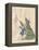 Aesop Fables-C.H. Bennett-Framed Premier Image Canvas