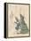 Aesop Fables-C.H. Bennett-Framed Premier Image Canvas