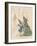 Aesop Fables-C.H. Bennett-Framed Giclee Print