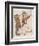 Aesop Fables-C.H. Bennett-Framed Giclee Print