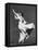 Aesthetic Dancer-null-Framed Premier Image Canvas