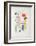 AF 1950 - Galerie Maeght-Joan Miro-Framed Collectable Print