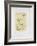 AF 1951 - Exposition Hispano-Américaine-Pablo Picasso-Framed Collectable Print