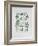 AF 1951 - Exposition Vallauris-Pablo Picasso-Framed Collectable Print