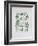 AF 1951 - Exposition Vallauris-Pablo Picasso-Framed Collectable Print