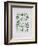 AF 1951 - Exposition Vallauris-Pablo Picasso-Framed Collectable Print