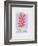 AF 1953 - Berggruen Et Cie-Henri Matisse-Framed Collectable Print