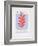 AF 1953 - Berggruen Et Cie-Henri Matisse-Framed Collectable Print