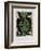 AF 1953 - Exposition Vallauris-Pablo Picasso-Framed Collectable Print