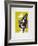 AF 1953 - Galerie Berggruen-Georges Braque-Framed Collectable Print